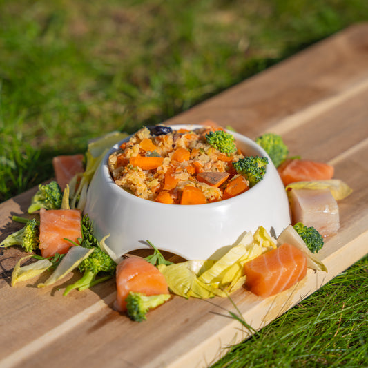 Vis Kerstdiner voor kleine honden